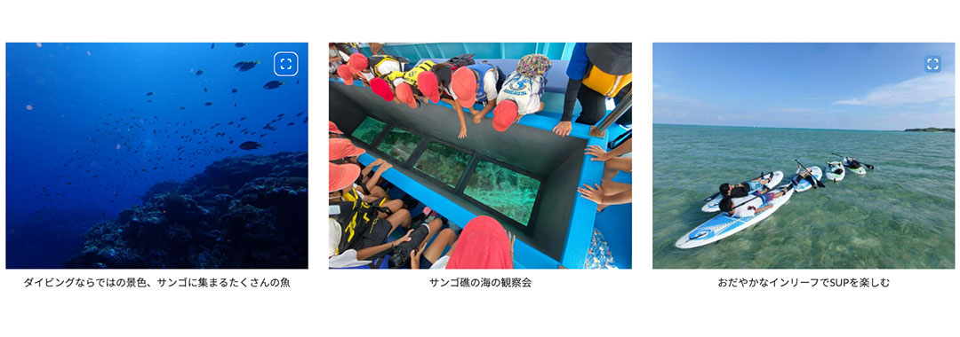 海の再生ネットワークよろん