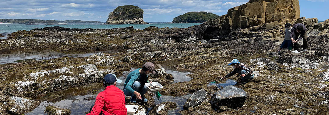 海の自然史研究所