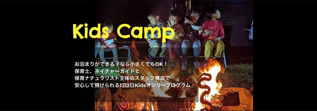 邑foundation