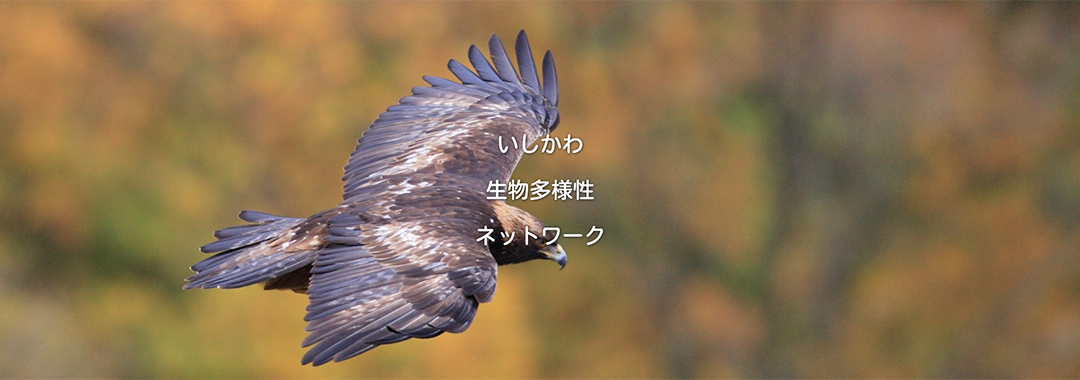 いしかわ生物多様性ネットワーク
