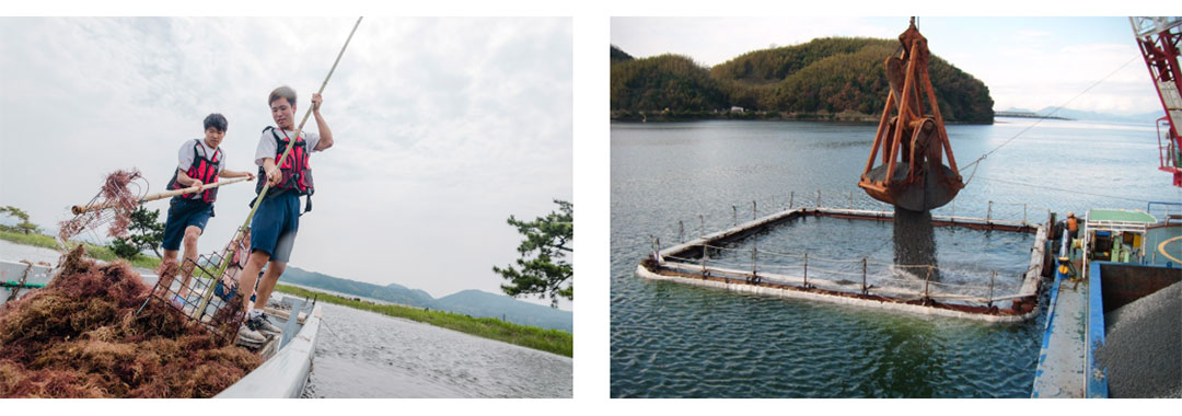 自然再生センター