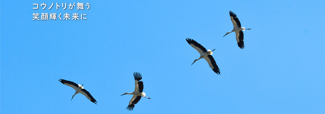 とくしまコウノトリ基金